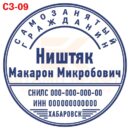 Макет для печати самозанятого 09